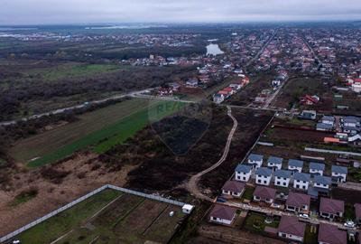 Vanzare teren intravilan 10.000mp Afumati - Strada Teiului - 7