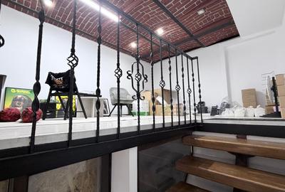 SPATIU COMERCIAL DE INCHIRIAT BULEVARDUL CAROL | UNIVERSITATE - 3