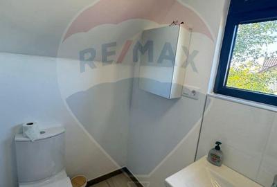 Casă / Vilă spațioasă cu curte mare de închiriat în Domnești - 14