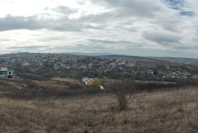 Teren intravilan 479mp in Dezmir - 4