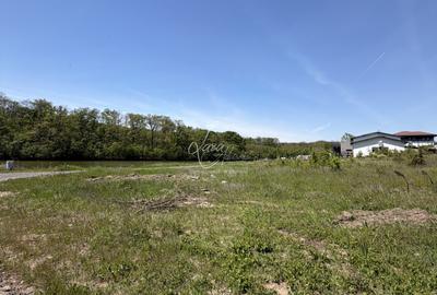 Teren superb la lac – 7.500 mp pentru dezvoltare rezidențială | Brănești - 3