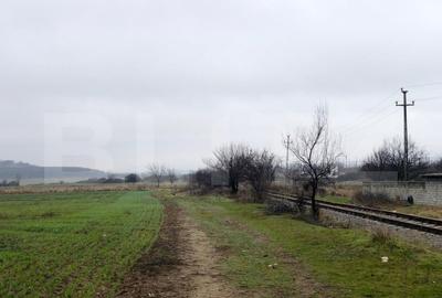 Teren Construcții intravilan de 41000 mp, în Ișalnița