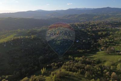 Teren generos de vânzare cu vedere spre Iezer in Bughea de Sus - 8