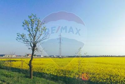 Teren comercial 5 ha, PUZ aprobat, acces direct Centura Nord Arad - 12