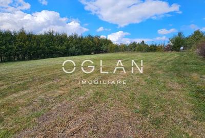 Teren Tocile (parcelabil) 3500 mp - 11