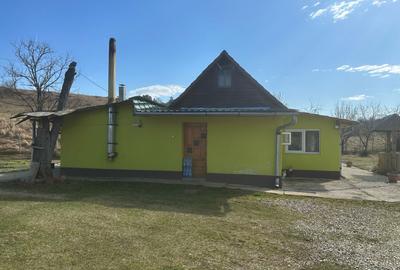 Casa 3 dormitoare, 128mp, 4750mp teren, piscina, cuptor de paine , Casolt - 6