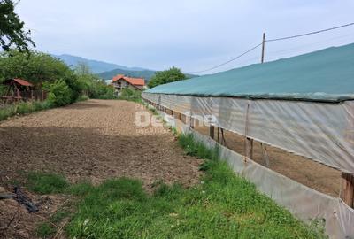 Loturi teren intravilan în Dăești, cu utilități complete, solar și garaj - 5