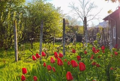 Casa cu teren 1400mp - 5