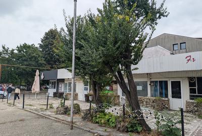 Spatii de inchiriat Bacau zona Gara - 11