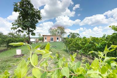 Casa de vanzare in Recas - 15