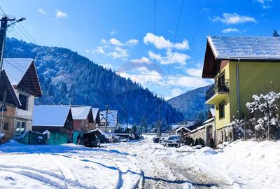 Teren intravilan în Tilișca, zonă montană superba! - 5