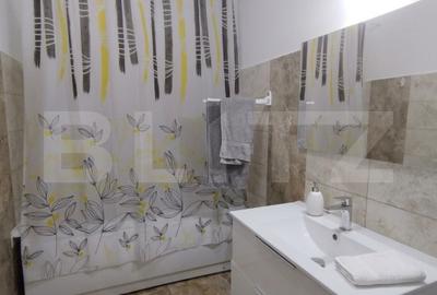 Apartament 2 camere decomandat Lunca Cetatuii (Visoianu) + loc parcare - 9