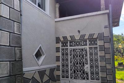 Casa spatioasa 8 camere+cladire auxiliara pretabil locuinta sau afacere+magazin - 10