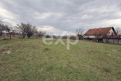 Teren intravilan 3052 mp | Băcești, Drăganu | asfalt | utilități la poartă - 1
