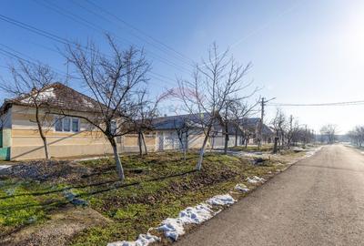 Gospodarie autentică bănățeană, cu teren generos și livadă – Frumușeni - 16