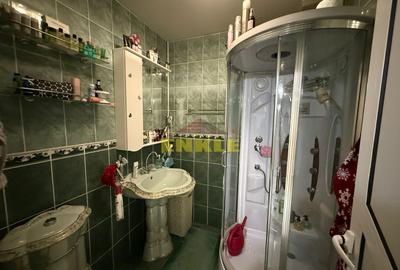 De vanzare Vila situata Ultracentral-425 mp - 22