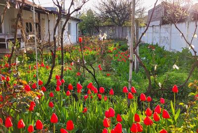 Casa cu teren 1400mp - 2