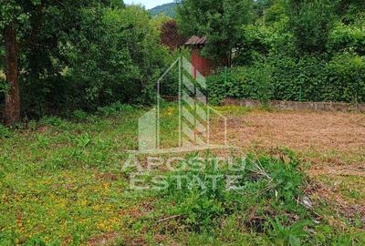 Casa batraneasca de vanzare, 4 camere, in Hunedoara, sat Micanesti - 44