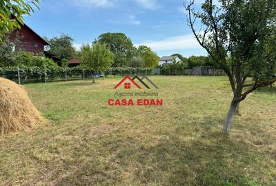 ●Teren in Campina--920mp--28.000e● - 8