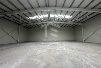 CENTURA - Rudeni | HALA 510 mp| Birouri 60mp | Parc Industrial nou - 4