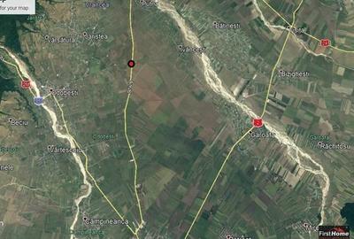 Teren extravilan spre Bolotesti - 9