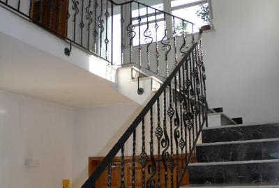 Vila spatioasa de inchiriat Vatra Luminoasa - 13