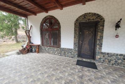 Cabana de vanzare ,Valea Avrigului/ 3000 mp/Langa padure - 19