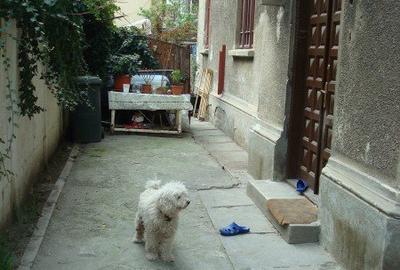 Apartament in vila zona Bd.A.I.Cuza-Metrou Gara de Nord-Sos.Titulescu - 4