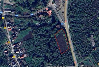 Teren intravilan pentru afacere/constructii, Merisani stradal la DN 7C - 3