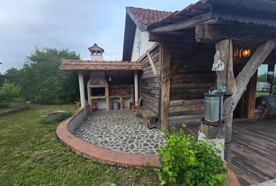 Pensiune in mijlocul naturii!! - 4