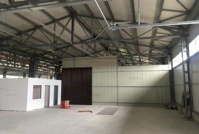 HALA NOUA DEPOZITARE/PRODUCTIE USOARA ZONA TRACTORUL - 3