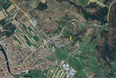 Lugoj Teren  5.300 Mp., Dealul Viilor,  Priveliste Impresionanta - 3