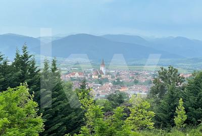 Apartament 3 camere, două băi, curte 50 mp -Natura la tine acasă! Cristian-SiBiU - 14