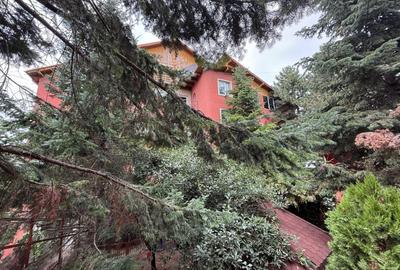 Cladire 30 camere Hotel Clinica Spital Azil Plumbuita Colentina - 2