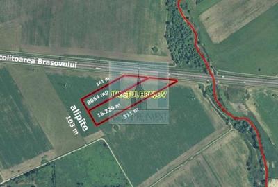 Teren intravilan 2,4 Ha - zona Tractorul (Rulmentul) - 1
