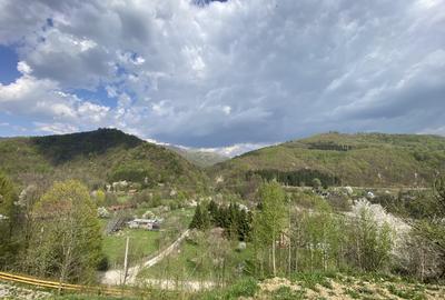Teren vedere panoramică lac Paltinu si dealuri împădurite in Valea Doftanei - 10