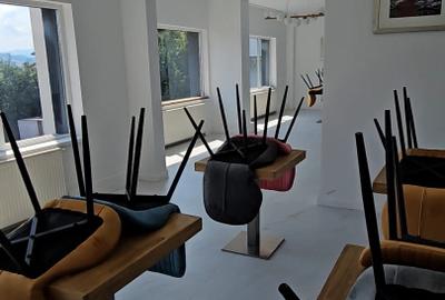 Pensiune cu 12 camere, renovata, Restaurant , Grigorescu - 2
