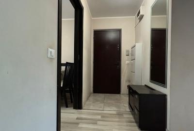 Apartament cu 3 camere, decomandat, 68 mp, mobilat si utilat + acces 100 mp - 14