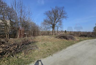 Ocazie: Teren + Hale + Casa, Centrul Cisnadiei, 6313 mp. |VIDEO - 4