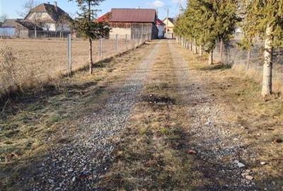 Casa de locuit (Gheorgheni, str. Gropilor) - 30