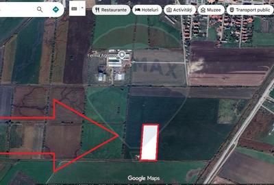 Teren intravilan de 20000 mp, în Stupini