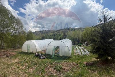 Proprietate eco-turistică de vânzare – 62.330 mp, Horea, Alba - 38