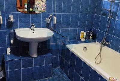 Vila spațioasă 5 dormitoare, Provita de Jos - 11