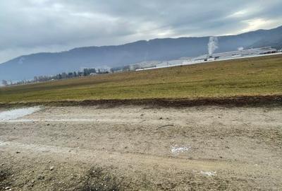Teren Construcții intravilan de 11500 mp, în Bartolomeu - 7