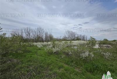 TEREN INTRAVILAN la 20 minute de Bucuresti - 6