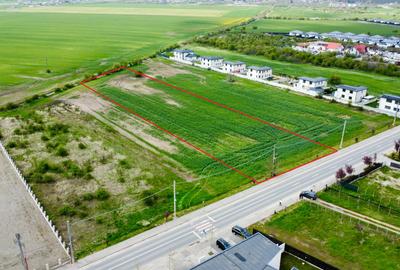 Teren Intravilan 25000mp Balotesti, Ion Lahovari, toate utilitatile, 41mp desc - 4