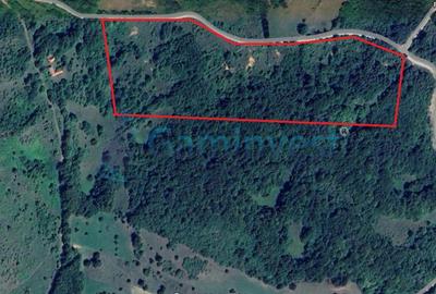 Teren Construcții intravilan de 64500 mp, în Tomnatic