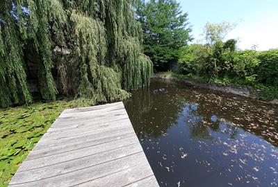 Teren de 3252mp zona Rompetrol cu casa D+P+E - 2