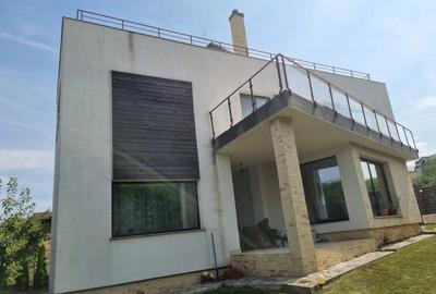 Casa deosebita, utilata mobilata, Faget, 311mp utili