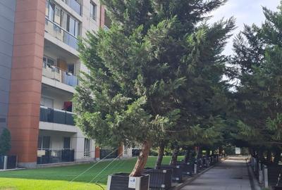 InCity Residence- Rond Alba Iulia - 13